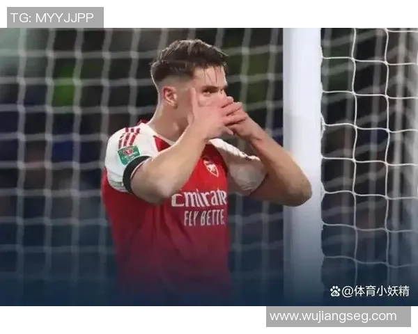 意甲激战:拜仁逆转阿森纳引发全场惊叹与热议数据分析揭秘精彩瞬间